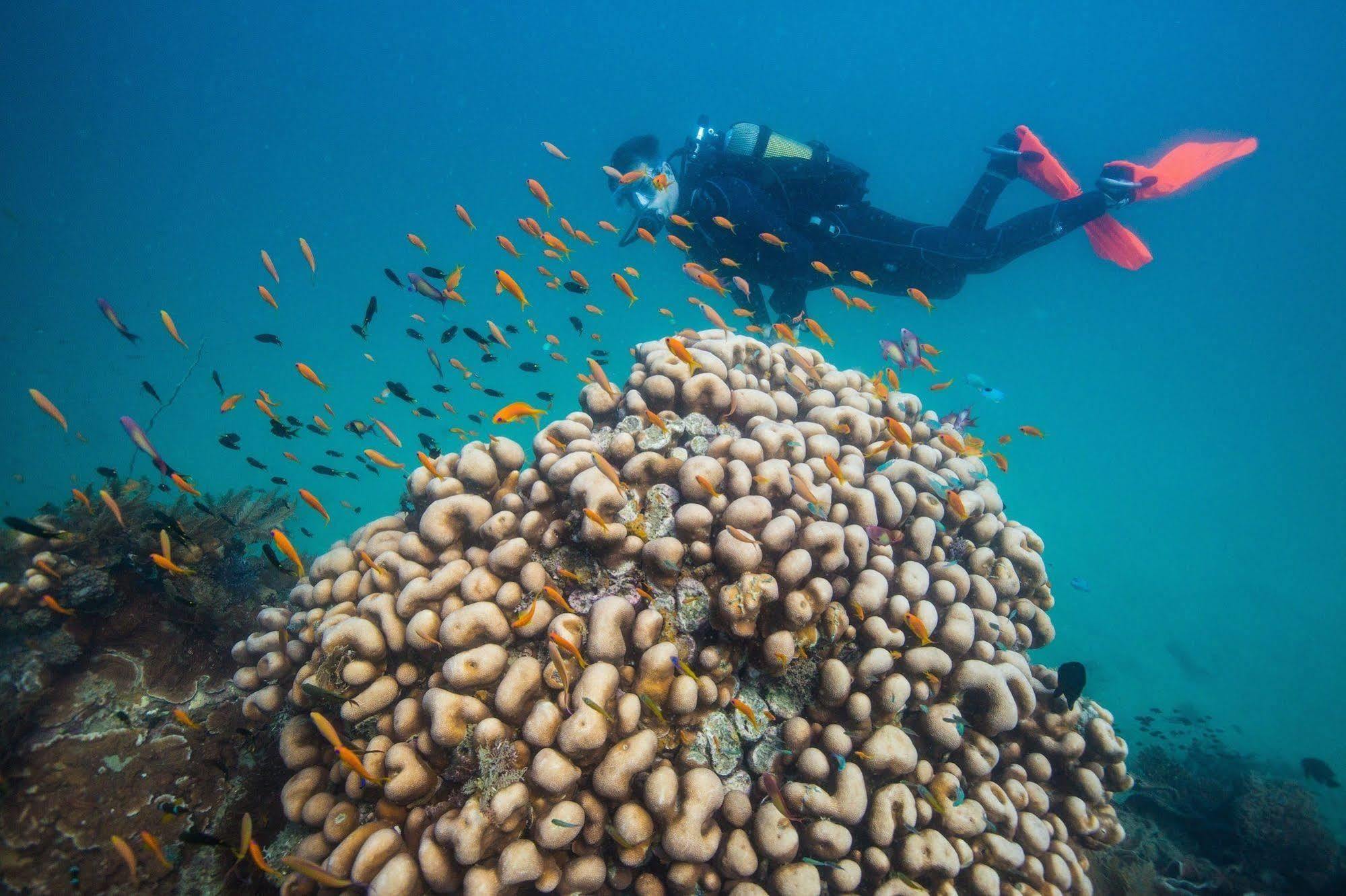 Azura Quilalea Island Exterior photo