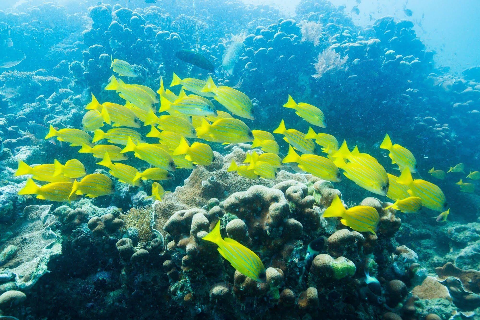Azura Quilalea Island Exterior photo
